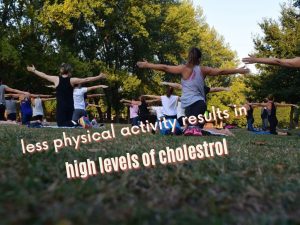less-physical-activity-is-the-main-cause-of-high-cholesterol